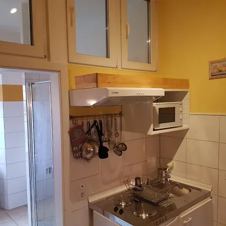 Haus Salinenblick アパート *